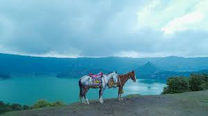 Horse riding