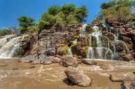 Awash National Park Safari
