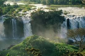 Wild scenery