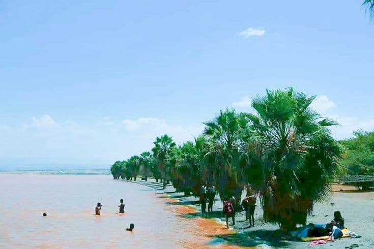 Langano shore