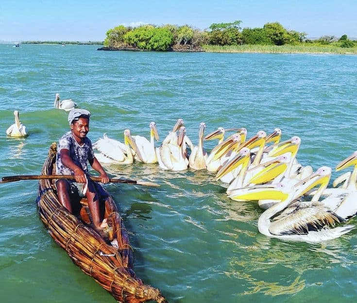 Fisherman
